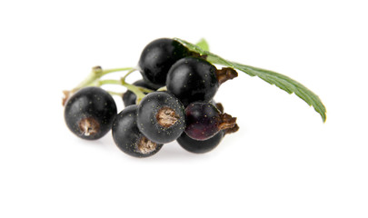 black currants