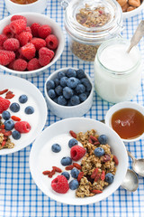 breakfast with granola, berries, honey and yogurt, top view