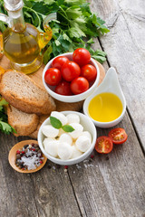 delicious mozzarella and ingredients for the salad