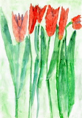 Child Drawing of Red Tulip Flowers, Watercolor