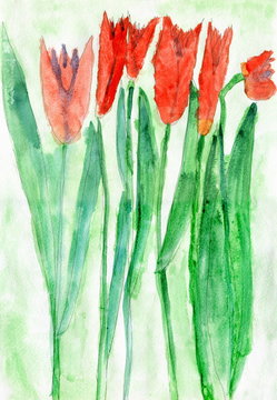 Child Drawing of Red Tulip Flowers, Watercolor © Nataliiap