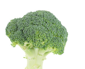 Broccoli vegetable.