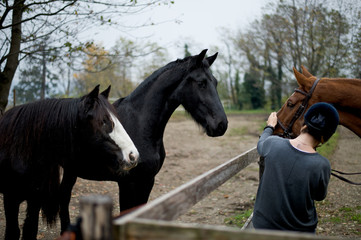 Equitazione che passione 6