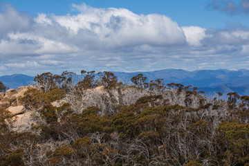 Australian Alps and Native Bush at Mount Buffalo National Park