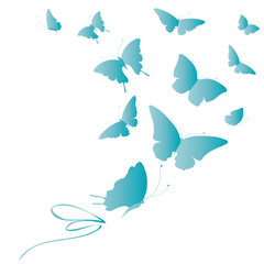 butterflies design