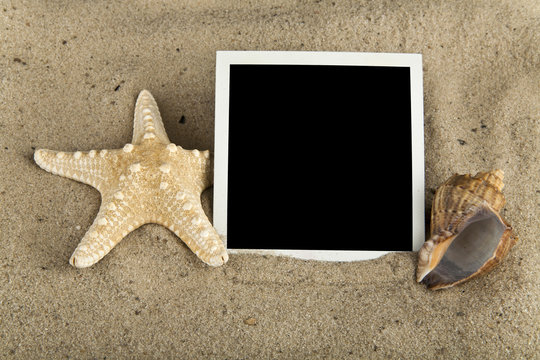 starfish, cockleshell and picture