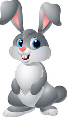Funny cartoon rabbit