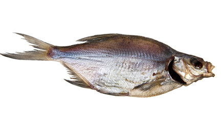 dried fish