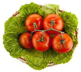 tomatoes