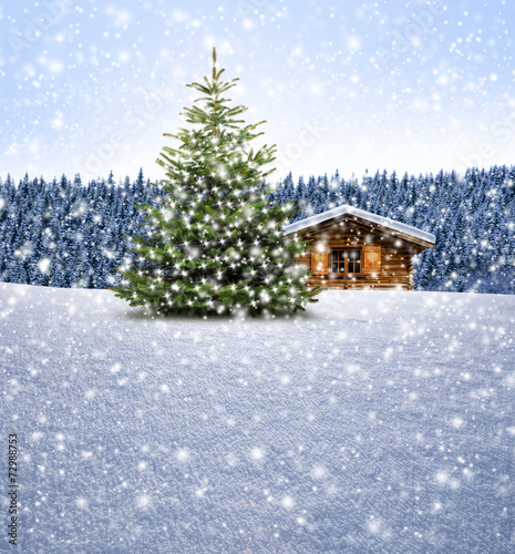 quot schih 252 tte mit weihnachtsbaum bei schnee quot stockfotos und quot schih 252 tte mit weihnachtsbaum bei schnee quot stockfotos und