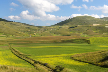 Piano Grande di Castelluccio (Italy)