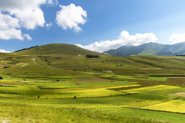 Piano Grande di Castelluccio (Italy)