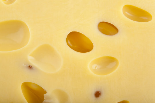 cheese as background