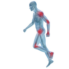 3D human man anatomy with articular pain