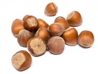 Haselnüsse