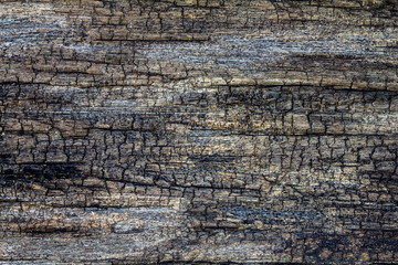 Old crack wooden texture
