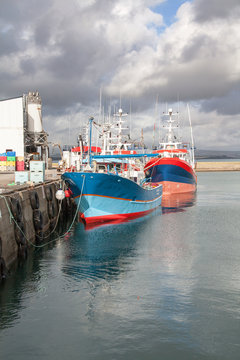 Fototapeta Retour de pêche au port du Rosmeur  à Douarnenez , Bretagne