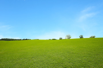 green field with blue sky