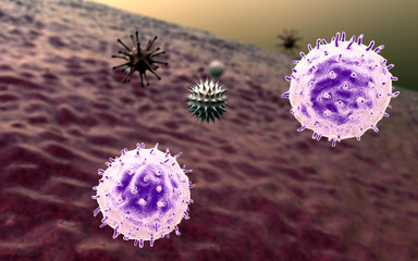 T-lymphocyt, virus