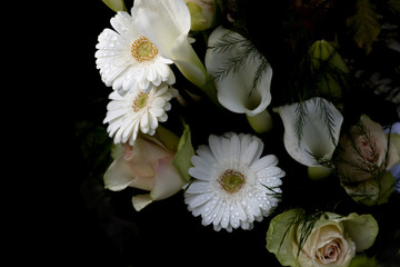 White Flowers.