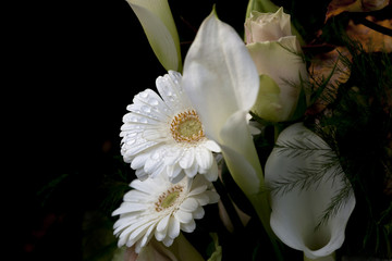 Flowers white.