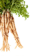 Root Parsley