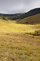 Obraz premium Horton Plains National Park. Sri Lanka