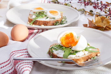 Fototapeta na wymiar sandwiches with eggs