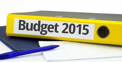 Budget 2015 - obrazy, fototapety, plakaty