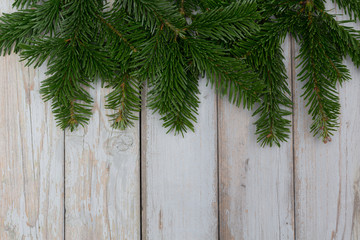 background - wood and pine branch