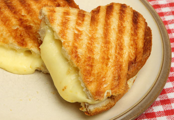 Toasted Cheese Sandwich