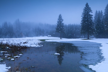 Obraz na płótnie Canvas misty winter dusk in Alps