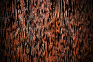Fototapeta premium texture of bark wood use as natural background