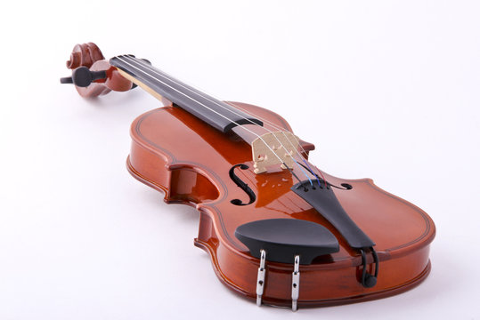 Violin isolated on white background