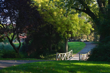 Sunny bridge in a park