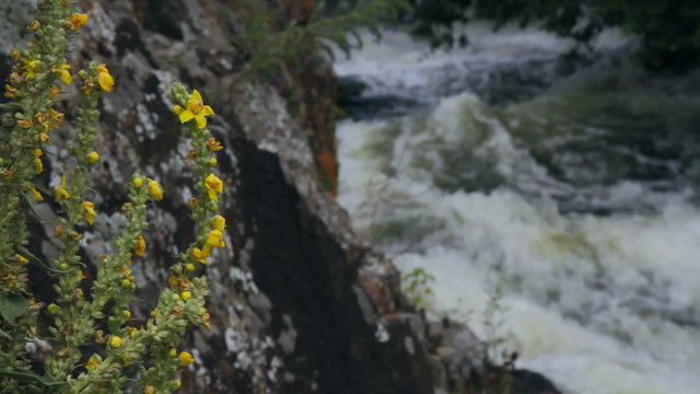 waterfall