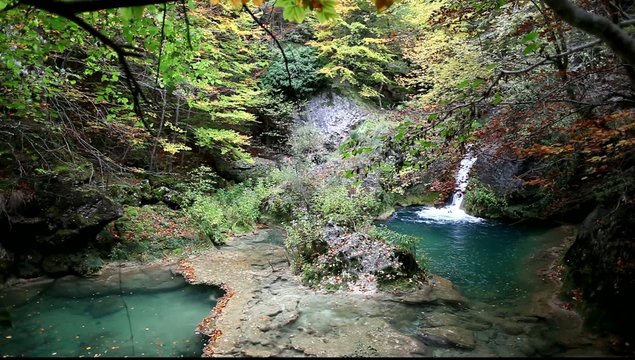 Oto&ntilde;o en Urbasa. Navarra Espa&ntilde;a.