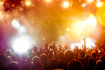 cheering crowd at concert