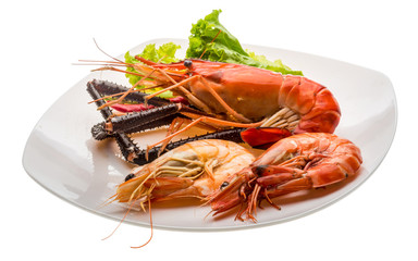 Giant Freshwater Prawn and king prawns
