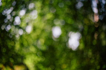 Obraz premium defocused light dot background