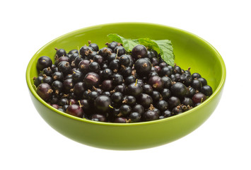 Black currant