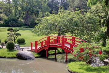 jardin japonais