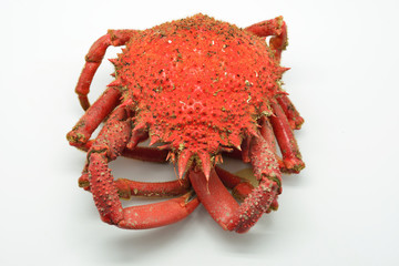 Spider crab, spiny spider crab or spinous spider crab cooked