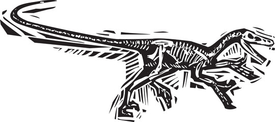 Running Velociraptor Fossil