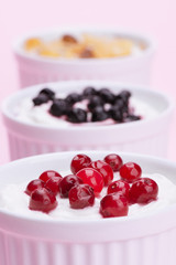 Fresh Assorted Yogurts With Cranberries, Blueberries And Muesli
