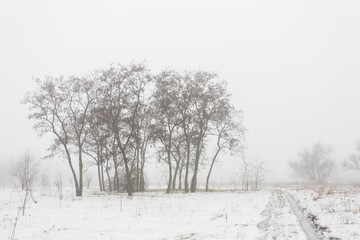 Obraz premium Winter park covered with white snow