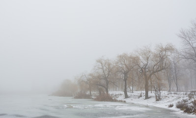 Obraz na płótnie Canvas Winter park covered with white snow