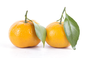 Orange fruit