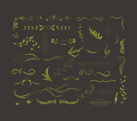 Hand drawn floral autumn collection