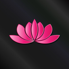 Leafy Lotus plant pink asian color.